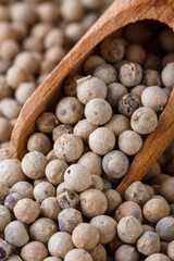 white peppercorns seed on white acrylic background