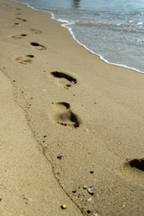 footprints of a person in the wet sand of a beach