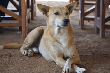 The stylish street Guy