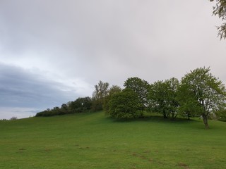 Park, See, Naturfotografie