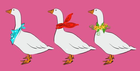 cute funny geese with color accessories For cute decor 