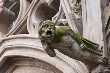 Gargoyle, Church of Saints Nazaire et Celse, Carcasonne Castle, a UNESCO World Heritage Site © timsimages.uk
