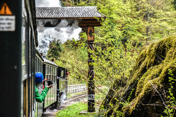 By small train through the mountainous areas of Maramures, Romania