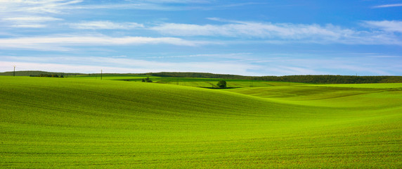 Panoramique tapis vallonné des campagnes de l'Yonne en Bourgogne-Franche-Comté, France