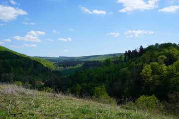 Fototapeta na wymiar Ein Blick über das Hagental bei Kaierde im Hils - A view over the Hagental at Kaierde in Hils