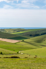 Fototapeta na wymiar Looking out over the rolling landscape of the South Downs with the Sussex coast in the distance