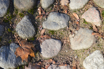 Cobbled roadway