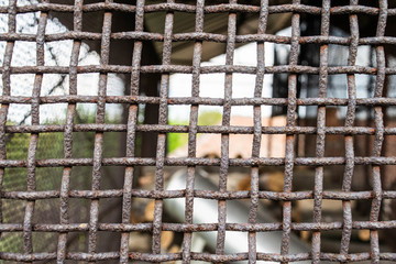 Obraz premium grid closeup texture