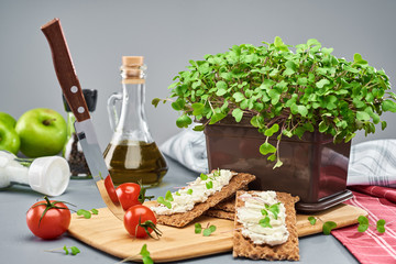 A young micro green broccoli in a plastic box and two sandwiches with cottage cheese and greens on diet loaves stand on the kitchen cutting Board. Greens grown at home.