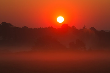 Obraz premium Lever soleil dans le brouillard