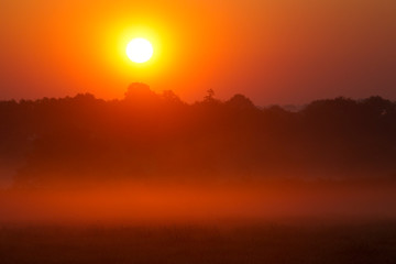 Lever soleil  dans le brouillard