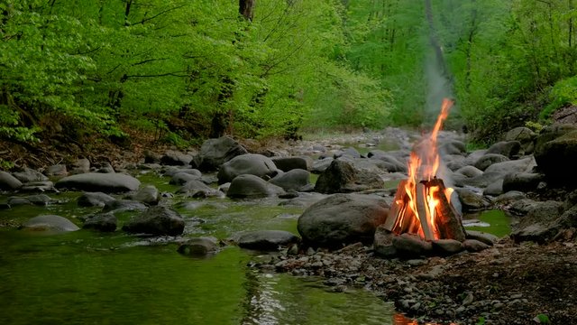 Relaxing campfire in the forest.