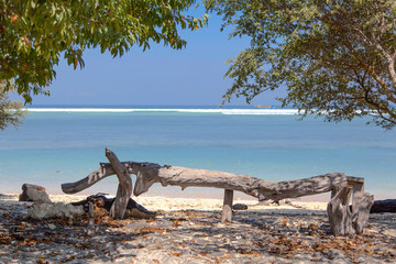 Fototapeta premium tree on the beach, gili trawangan island, bali, indonesia.