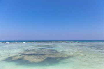 tree on the beach, gili trawangan island, bali, indonesia.