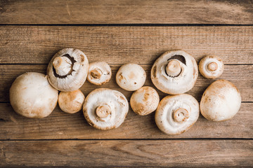Freshly harvested mushrooms on the rustic wooden background. Selective focus. Shallow depth of field. - obrazy, fototapety, plakaty