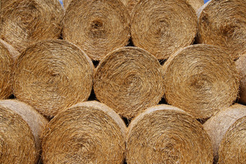 Stack of hay bales in country farm
