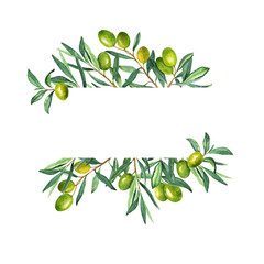 Fresh green olive berries and green leaves frame isolated on white background. Hand drawn watercolor illustration. - 345136901