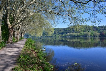 Baldeneysee im Frühling