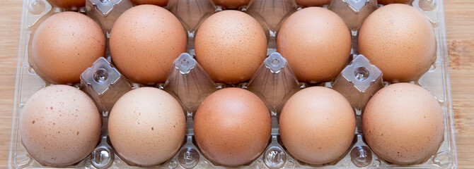a chicken egg in the container is waiting for you to cook your breakfast