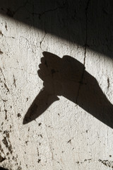 Shadow of the hand holding a knife
