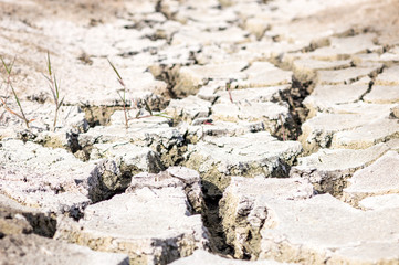 Dried reticulated earth
