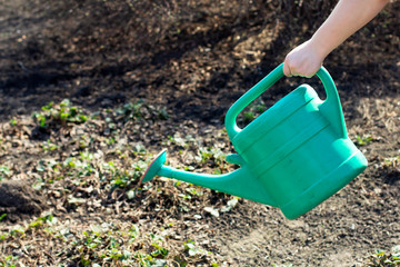 A female hand holds a watering can, watered the garden, the ground with water. For the growth of plants, seedlings. Spring planting, ecology