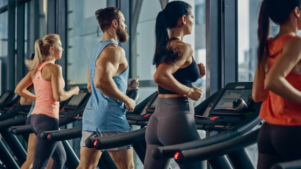 Fototapeta na wymiar Athletic People Running on Treadmills, Doing Fitness Exercise. Athletic and Muscular Women and Men Actively Training in the Modern Gym. Sports People Workout. Back View Shot