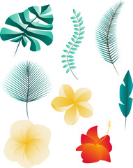 Set of tropical leaves and flowers isolated on white background