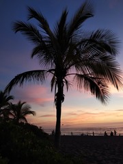 Obraz premium Coucher de Soleil sous les Tropiques