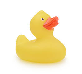 Toy yellow duck isolated on a white.