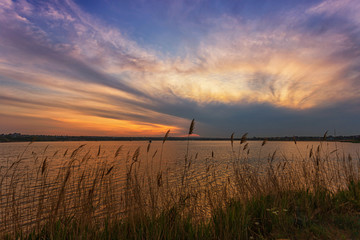 Obraz premium Beautiful sunrise on the lake, with reeds in the foreground