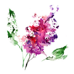 Abstract lilac branch on a white background. Watercolor illustration.
