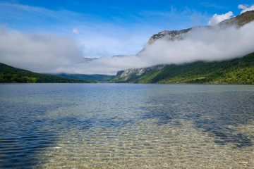 Green Bohinj lake shores in Slovenia
