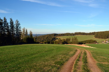 Fototapeta na wymiar Wanderweg in Breitnau im Schwarzwald
