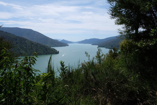 Malborough Sound