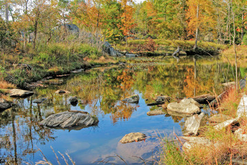 Autumn Foliage Reflection in Pond