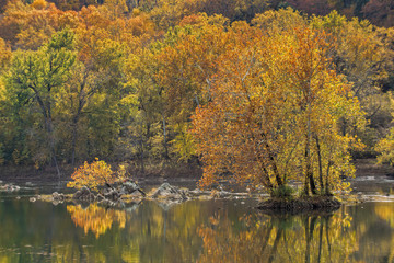 Autumn Foliage on the River