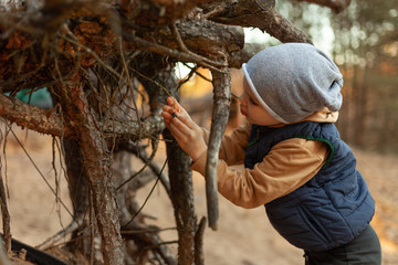 child plays with tree roots, outdoor recreation, nature study