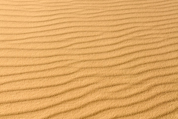 Ripples in the sand at White Sands National Monument