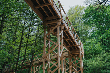 Fototapeta na wymiar Treetop path perspective view of a Wooden bridge among trees
