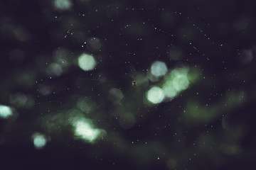 galactic web