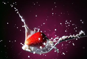 Reife rote Erdbeere fällt in einen Löffel mit Milch vor einem lilafabenen Hintergrund