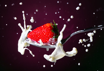Reife rote Erdbeere fällt in einen Löffel mit Milch vor farbigen Hintergrund - Splash