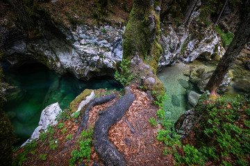 Beautiful Mostnica gorge with green water near Bohinj