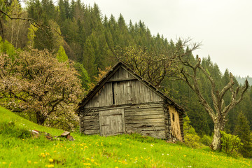 Fototapeta premium Old mountain hut high in the mountains