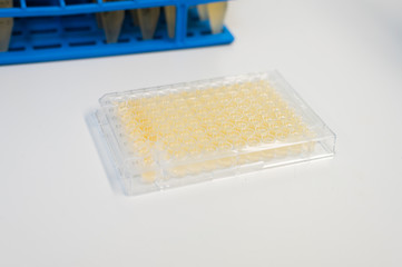 micro titer plate in a laboratory for biomedicine