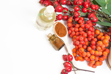 Dog rose, bunch branch Rosehips, types Rosa canina hips herbal  Medicinal plants herbs composition on white