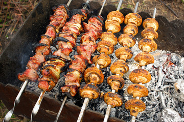 Grilled pork kebab and mushrooms on the grill