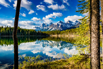 Fototapeta na wymiar Early morning reflections in the crystal clear waters of Herbert Lake. Banff National Park, Alberta, Canada
