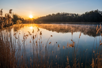 sunrise over the lake with tree reflection and beautiful fog